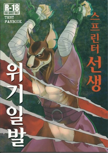 (Fur-st 8) [INK (Kreuz, Kandagawa Gufu)] Splinter Sensei Kiki Ippatsu | 스플린터 선생 위기일발 (Teenage Mutant Ninja Turtles) [Korean] cover