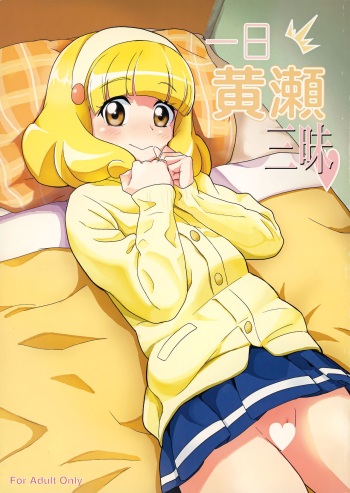 [D-baird (BeNantoka)] Ichinichi Kise Zanmai (Smile PreCure!) cover
