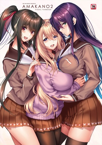 Amakano 2 Visual Fan Book cover