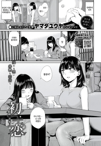 [Yamada Yuuya] Hatsukoi -zenpen- (COMIC BAVEL 2023-01) [Korean] cover