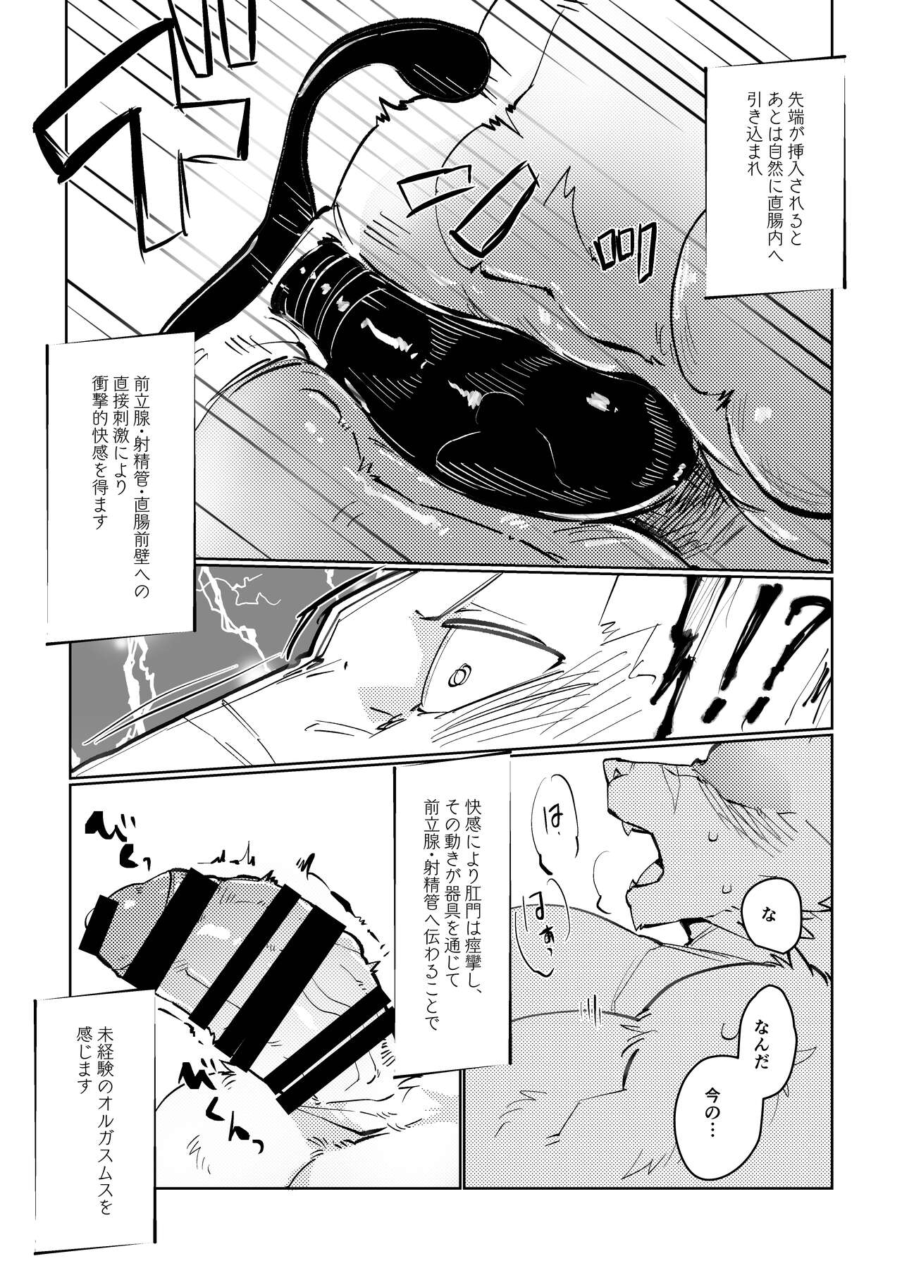 kazana koko judo-bu shusho kowamotemasshibubaritachi okami ko tori Ga a ￮ ru kaihatsu nante kyomi aru wake naiyaroga! ! page 12 full