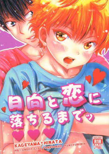 (SUPER COMIC CITY 23) [puniiyu] Hinata to Koi ni Ochiru Made— (Haikyuu!!) cover