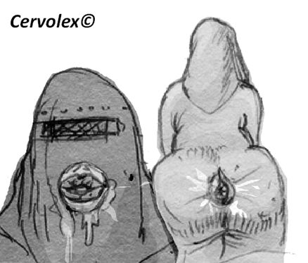 Cervolex  - hentai foundry page 12 full