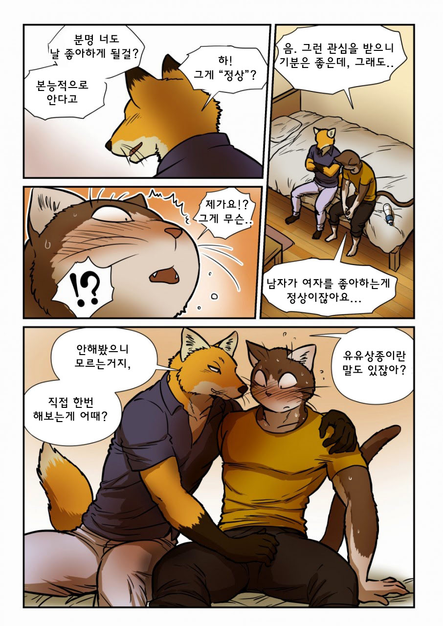 Kitsune x Neko Kemo Homo Ero Manga | 고양이×고양이 2화 - 여우×고양이 케모호모 에로 만화 page 11 full
