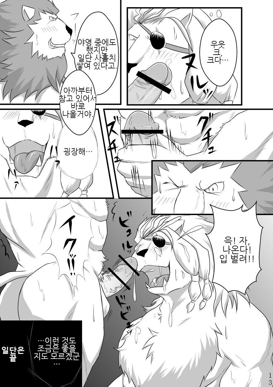Toshiue Neko Desire | 연상 고양이 디자이어 page 12 full