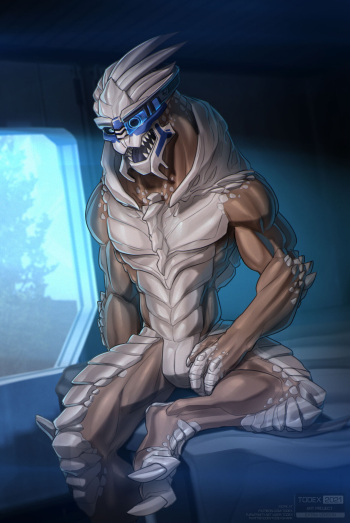 [Todex] Garrus Vakarian (Mass Effect) cover
