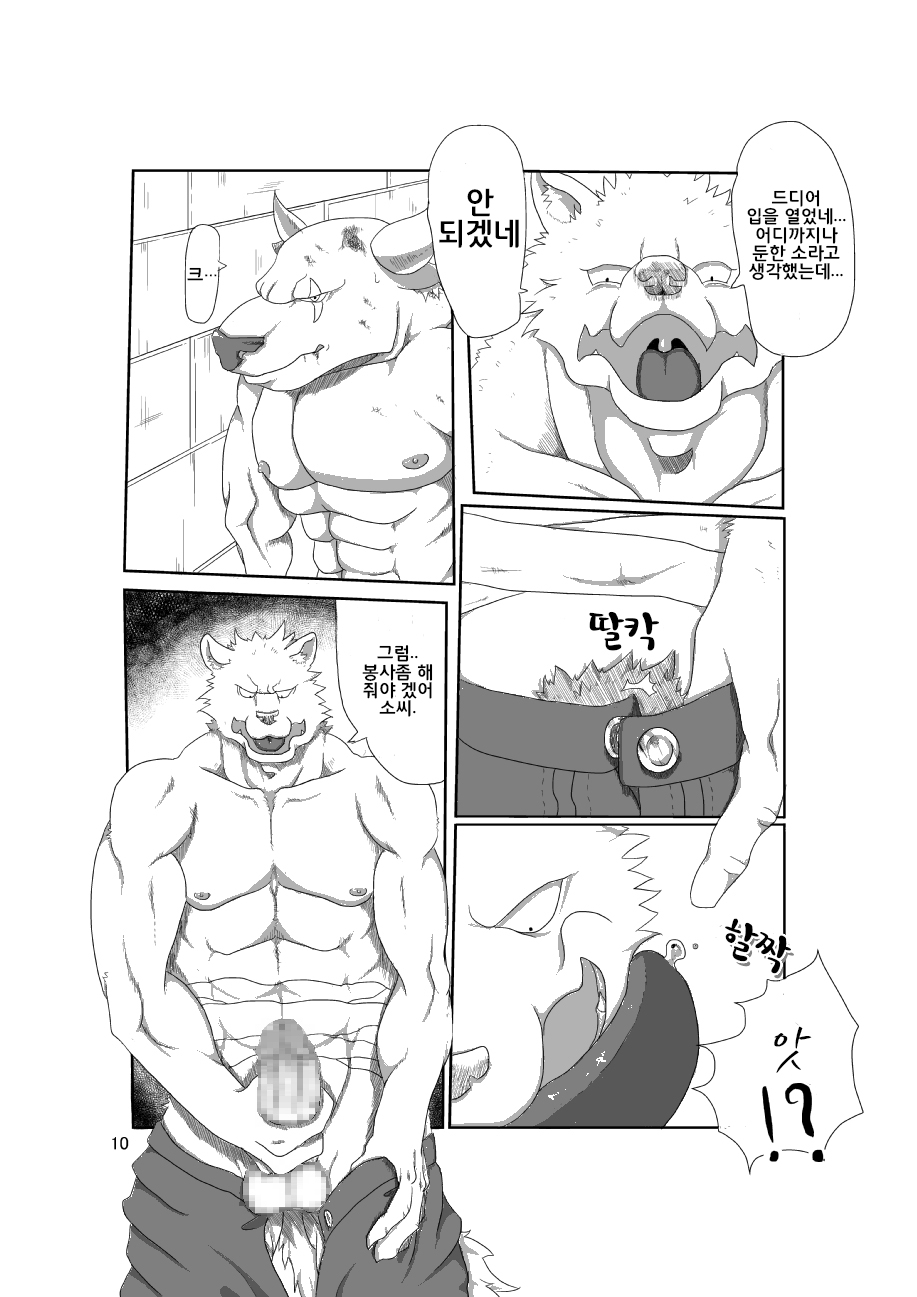 Takara no Shugosha | 보물의 수호자 page 11 full