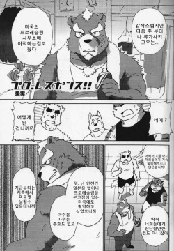 Pro Response!! | 프로 리스폰스!!