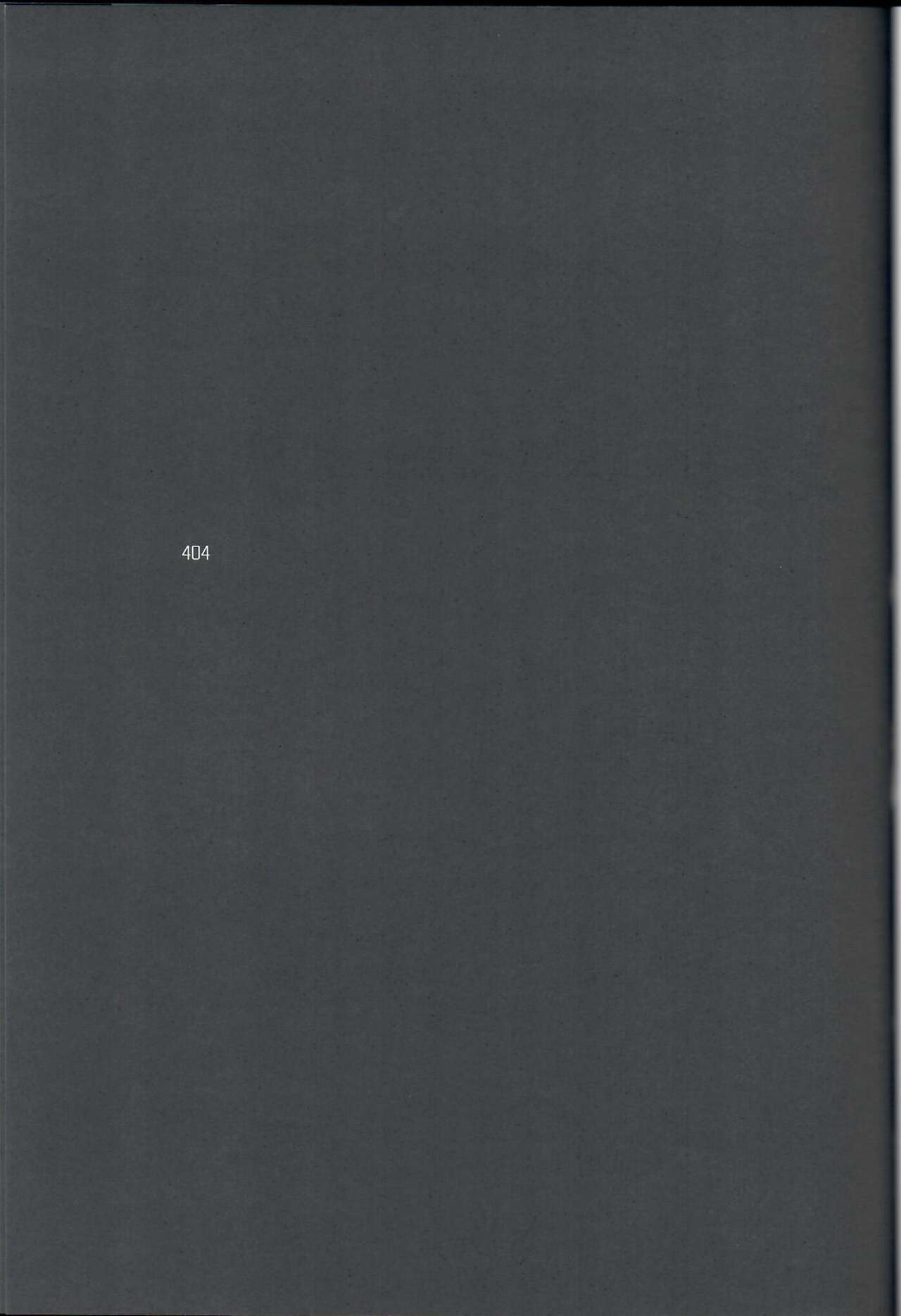 404 page 3 full