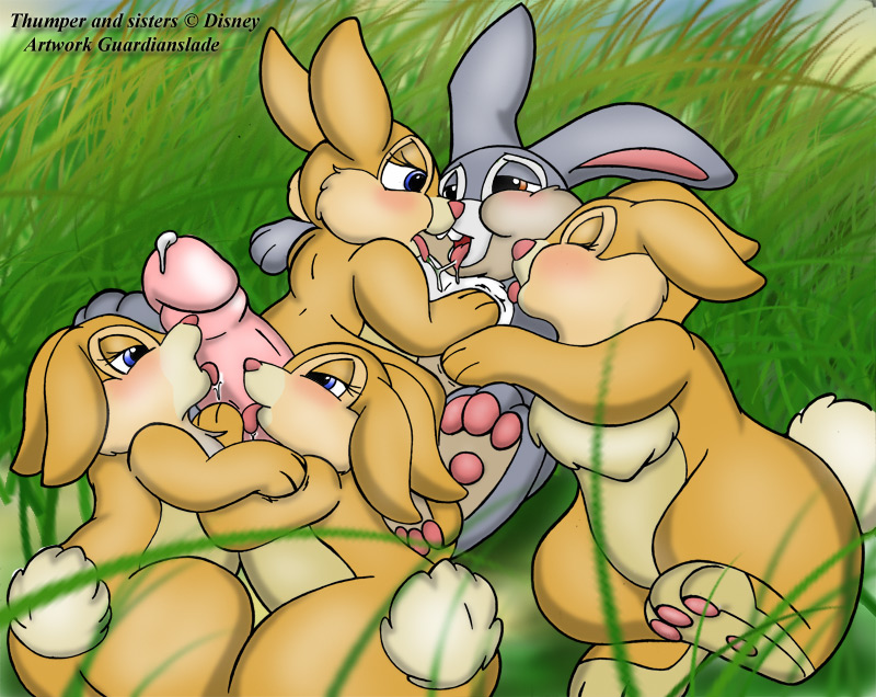 Thumper's Harem page 2 full