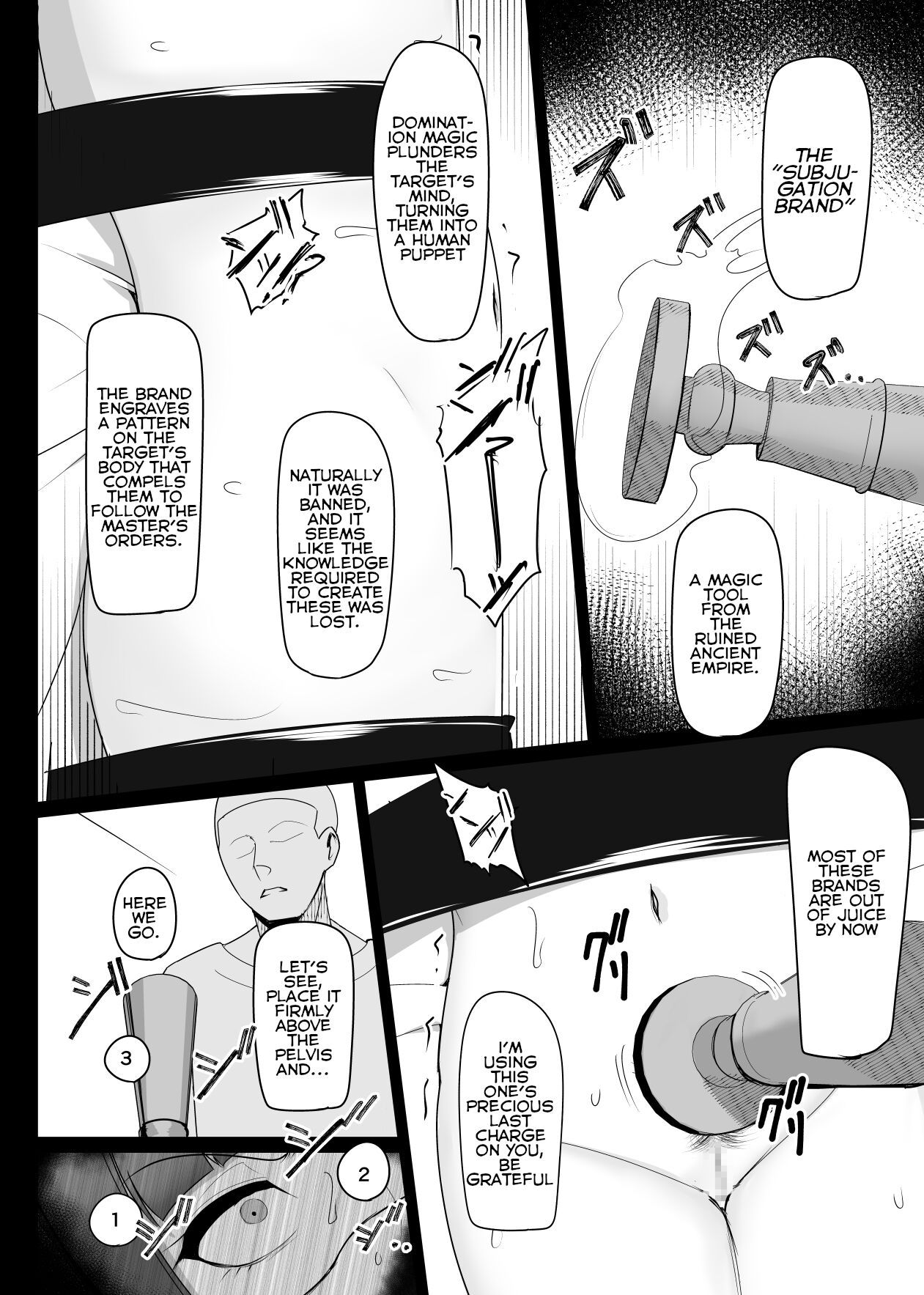 Shihai Kokuin Takabisha na Onna Majutsushi ga Shiranai Aida ni Omocha ni Sareru page 12 full