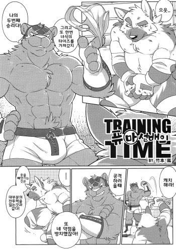 (Kemoket 4) [TFWS (Takemoto Arashi)] Kurohyou Senpai no Training Time | 퓨마/흑표 선배의 트레이닝 타임 (Furry Suplex 2) [Korean] cover