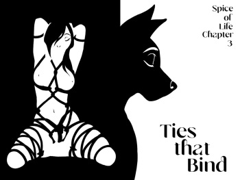 [Houkuko] Spice of Life: Ties That Bind cover