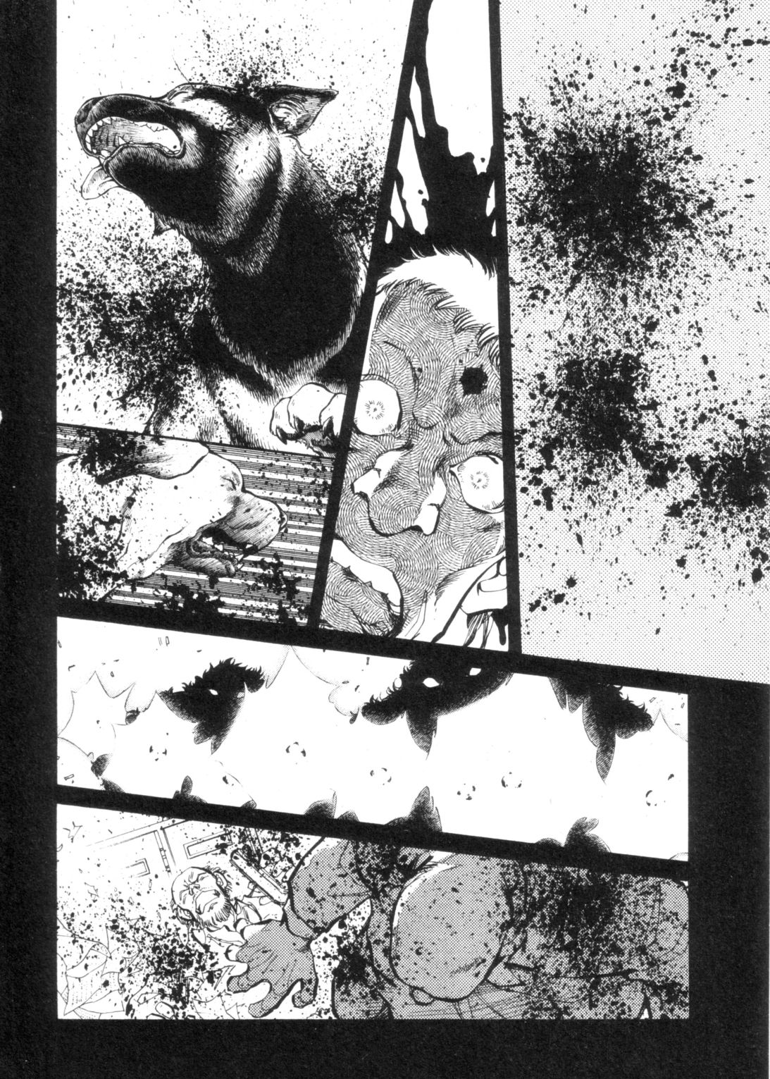 4 page 5 full