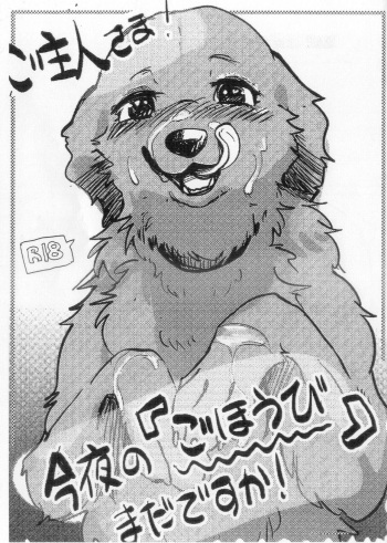 (Kemoket 12)[Kon Juuichibai (Momou)]Goshujin-sama! Konya wa no "Gohoubi" Madadesuga! cover