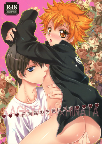 (C87) [Lovesugi (Fukai Maro)] Hinata-kun no Okiniiri (Haikyuu!!) cover
