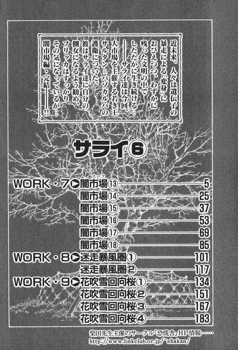 6 page 3 full