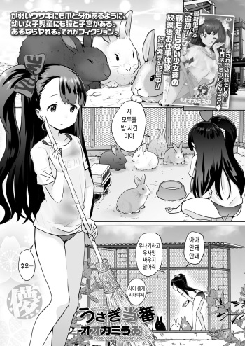 [Ookami Uo] Usagi Touban (COMIC LO 2023-02) [Digital] [Korean] cover