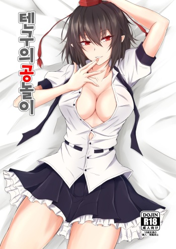 [pikuchi-ya (Piro)] Tengu no Tama Asobi | 텐구의 공놀이 (Touhou Project) [Korean] [Digital] cover