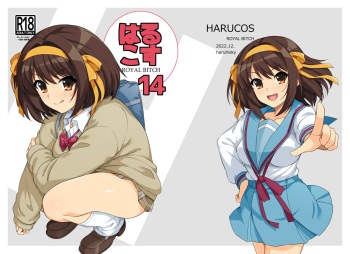 [Royal Bitch (haruhisky)] Harucos 14 (Suzumiya Haruhi no Yuuutsu) [Digital] cover