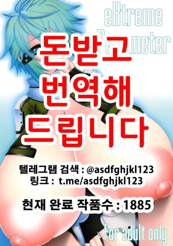 [elflite (Agata Akira)] eXtreme Parameter (Sword Art Online) [Korean] [Digital] cover