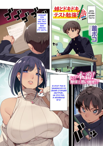 [Kamaboko] Ane to Dokidoki Test Benkyou (COMIC HOTMILK 2020-04) [Russian] [﻿Onegin98] [Digital] cover