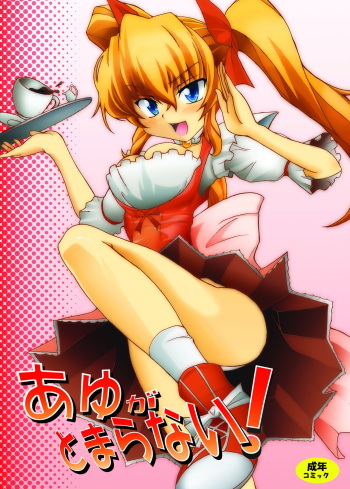 (C69)  [RIN (Mochi)] ayuga tomaranai (Kimi ga Nozomu Eien) cover