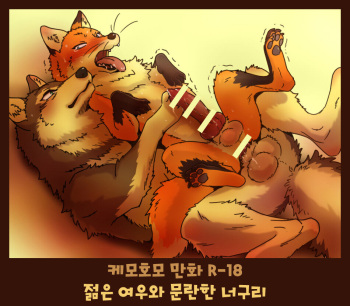 (Kansai! Kemoket 4) [Maririn] Tanuki x Kitsune | 젊은 여우와 문란한 너구리 [Korean] [Digital] cover