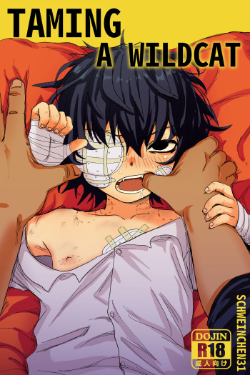 [Schweinchen 31] Taming A Wildcat [Digital] cover