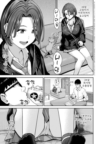 [Ashizuki] Neko to Koukishin to JK (COMIC Anthurium 2023-03) [Korean] [Digital] cover
