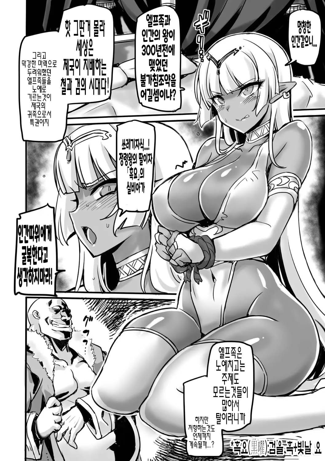 Wakuran no Dark Elf | 혹란의 다크엘프 page 2 full