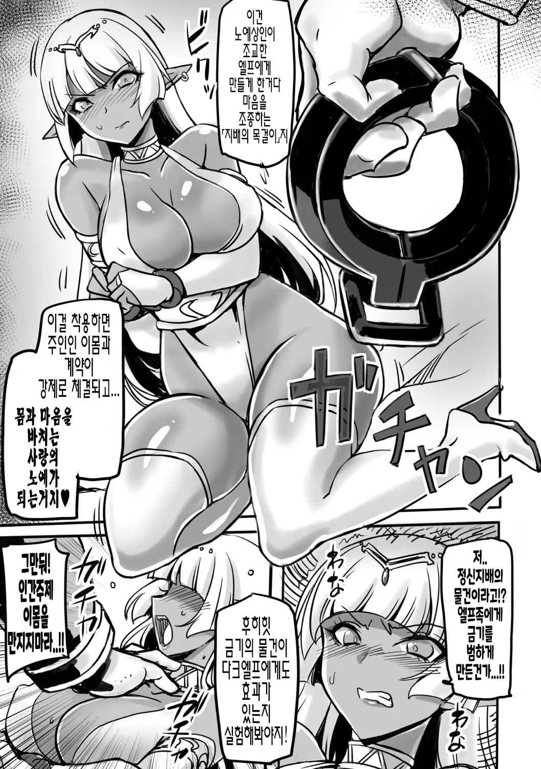 Wakuran no Dark Elf | 혹란의 다크엘프 page 3 full