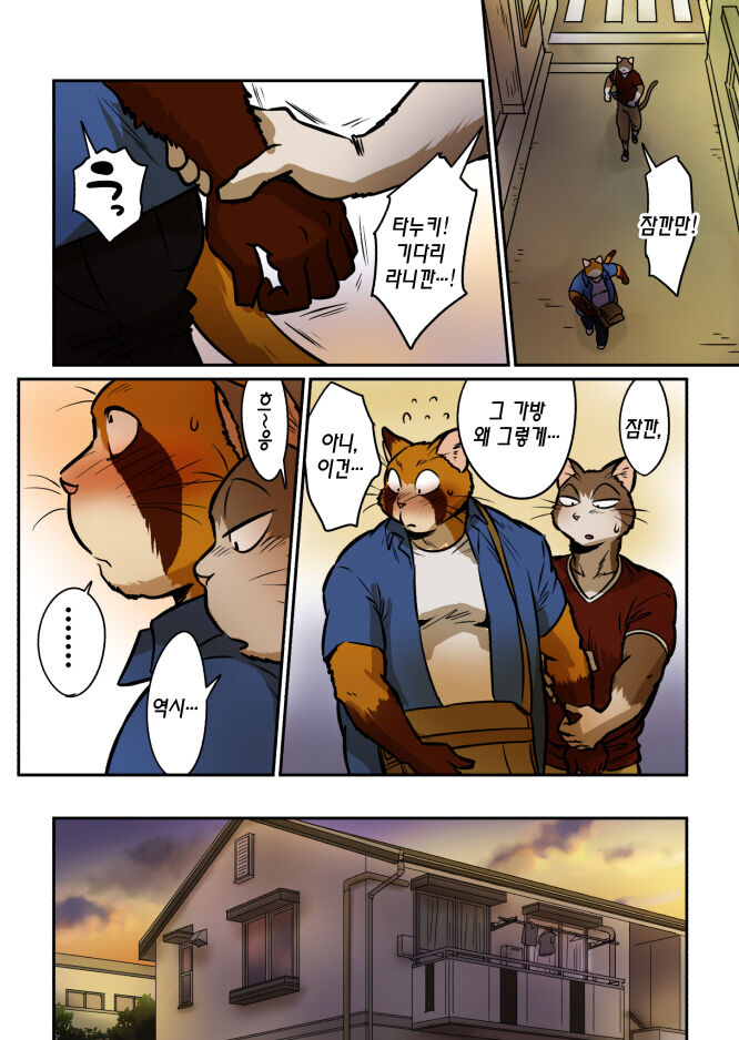 Neko x Neko 4 | 고양이×고양이 4화 page 11 full