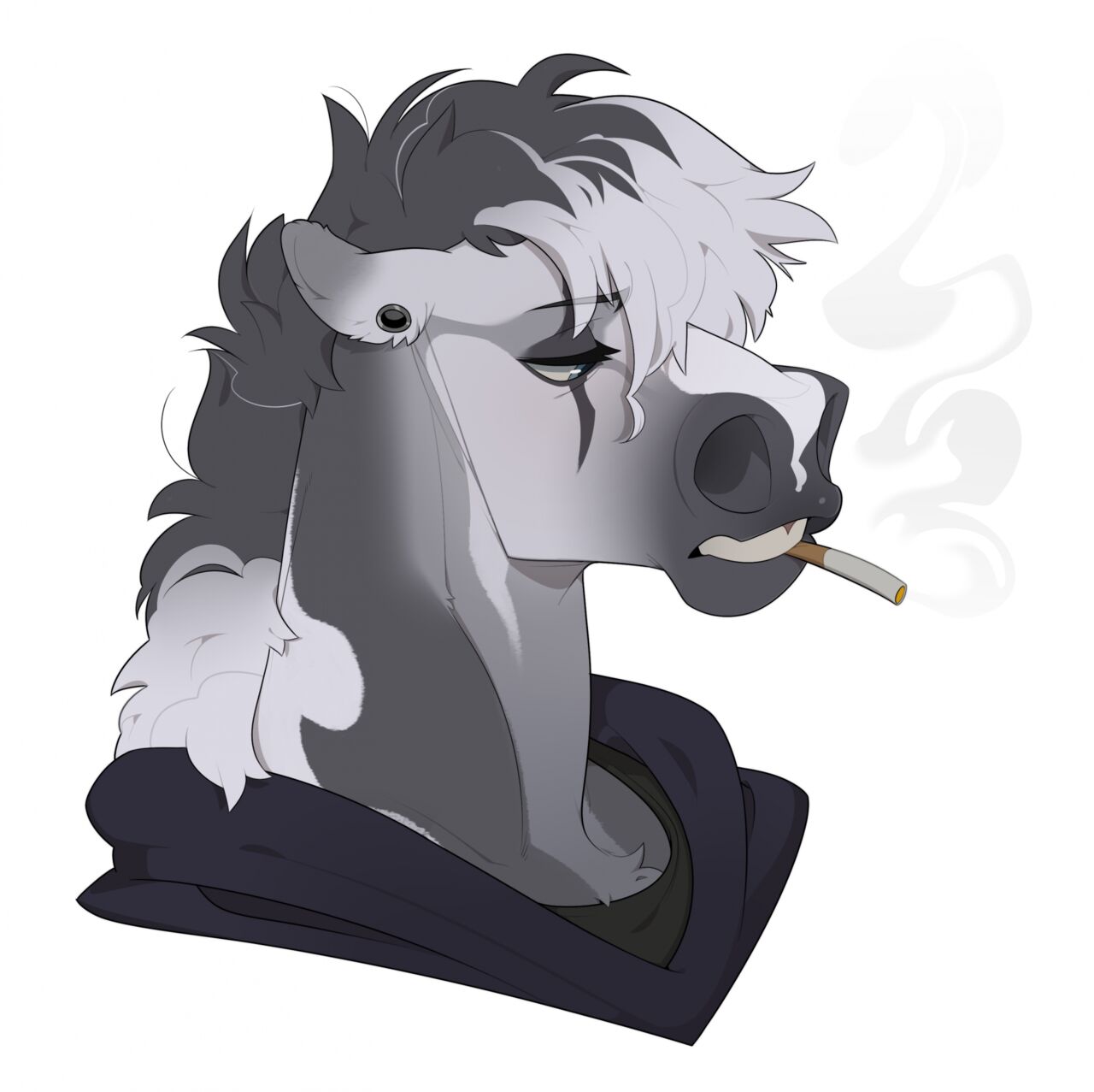 fenzol-e FA Gallery page 7 full
