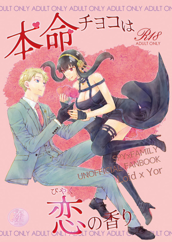 [Usagizadou (Enu, Rua)] familial×connection Osaka (SPY x FAMILY)sample cover