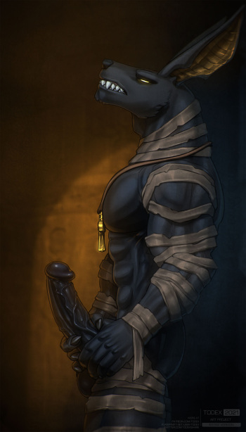 [Todex] Anubis cover