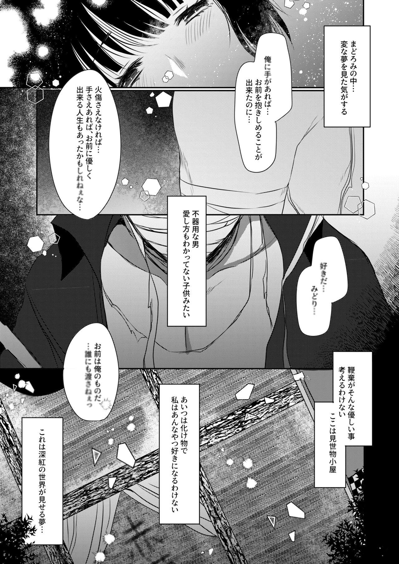 Shinku no Yume page 12 full