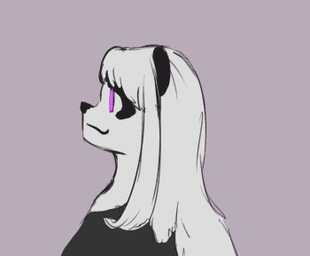 Layla Panda Art cover