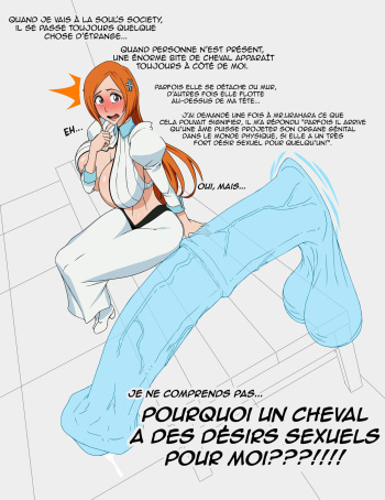 [MaruZyruKun] Orihime (Bleach)  [French] cover