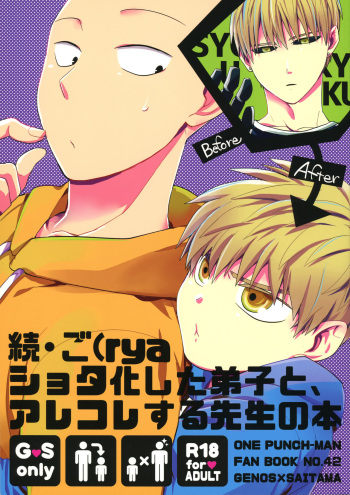 (COMIC CITY SPARK 11) [Average (Akiyama)] Zoku go (rya shota-ka shita Deshi to Arekore suru Sensei no hon (One Punch Man) cover