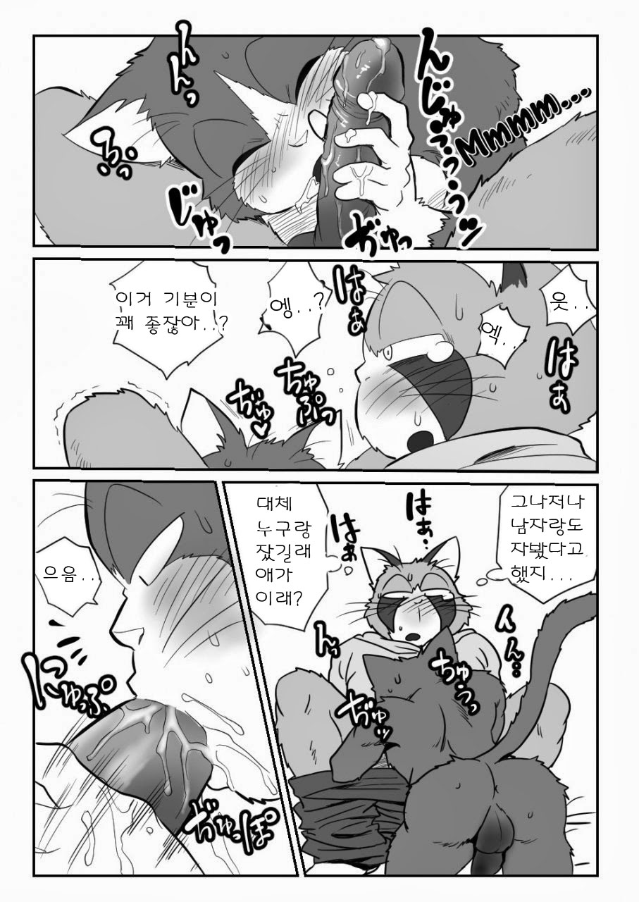 Neko x Neko | 고양이×고양이 1화 page 12 full