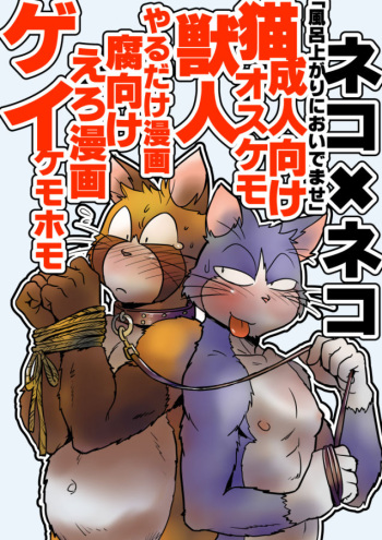 [Maririn] Neko x Neko | 고양이×고양이 1화 [Korean] [Digital] cover