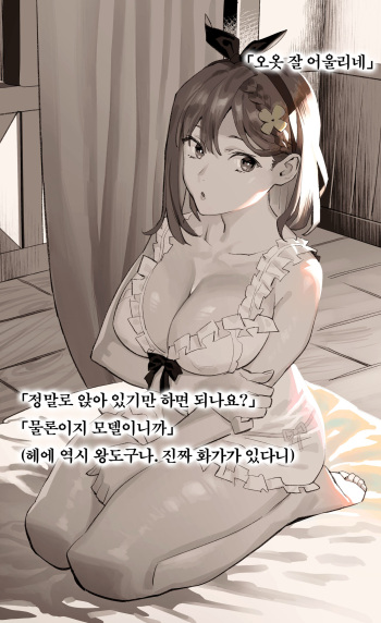 [Yukiyoshi Mamizu] Goku Heibon na Model no Oshigoto | 지극히 평범한 모델 일 (Ryza no Atelier) [Korean] cover