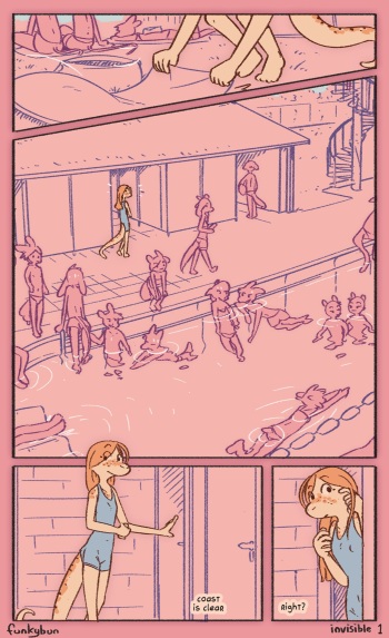 [Funkybun] Invisible cover