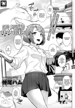Neko nochi Amayadori | Gato Refugiado de la Lluvia