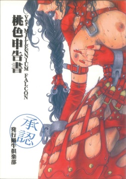 桃色申告書 ver.MILLENNIUM FALCON