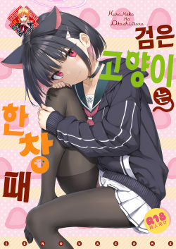 Kuroneko wa Otoshigoro | 검은 고양이는 한창때