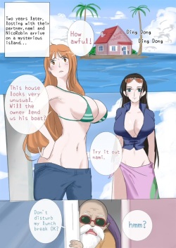 The Sexual Life Of The Turtle Hermit