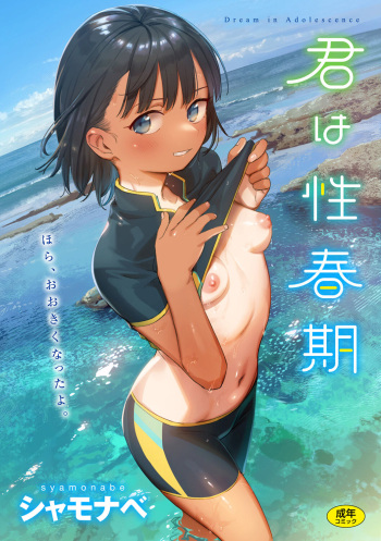 [Syamonabe] Kimi wa Seishunki - Dream in Adolescence [Digital] cover