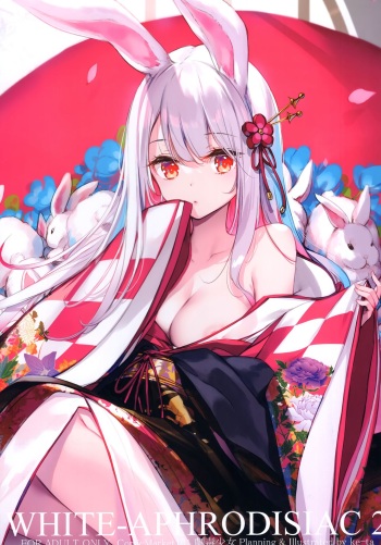 (C101) [Gekidoku Shoujo (ke-ta)] WHITE-APHRODISIAC2 (Touhou Project) cover